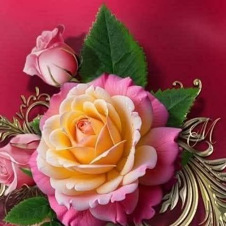 Щиро дякую за привітання: красиві картинки та листівки