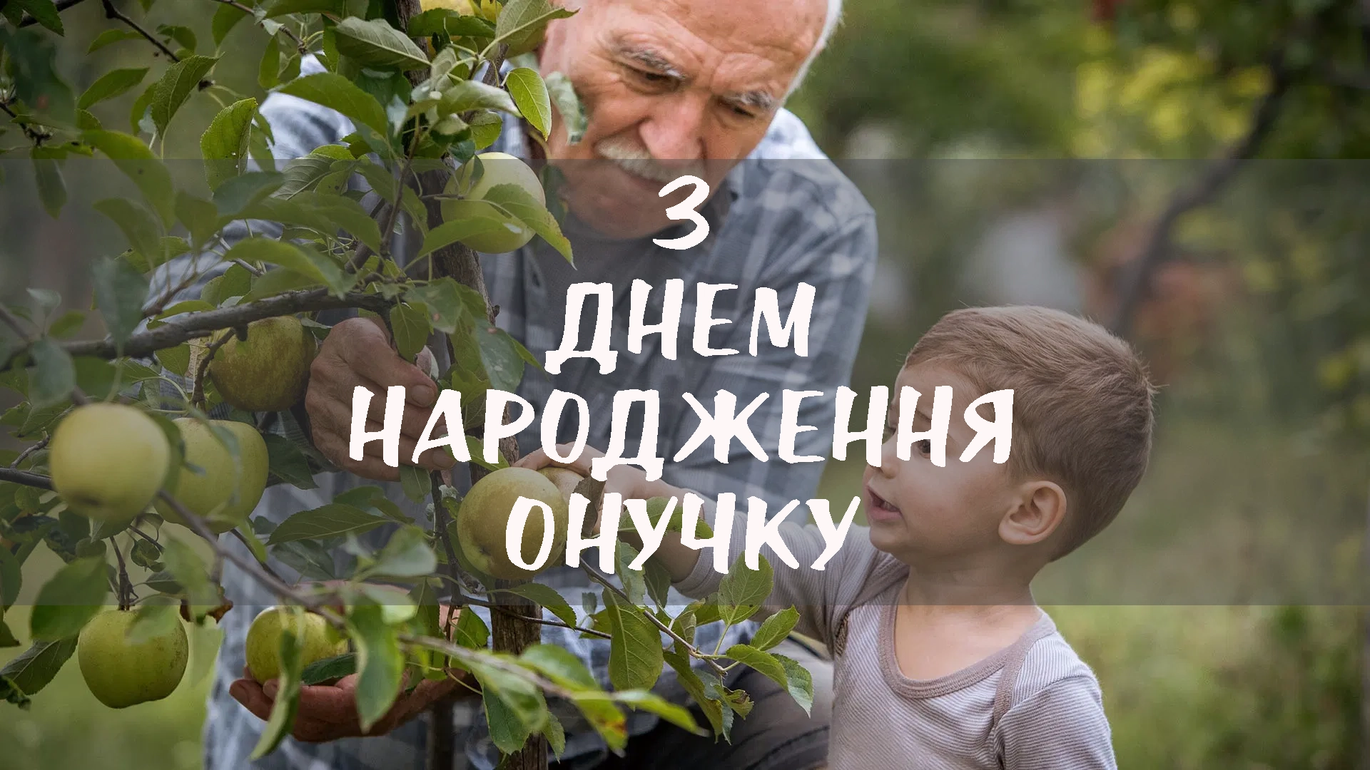 з днем народження онука - листівки 6