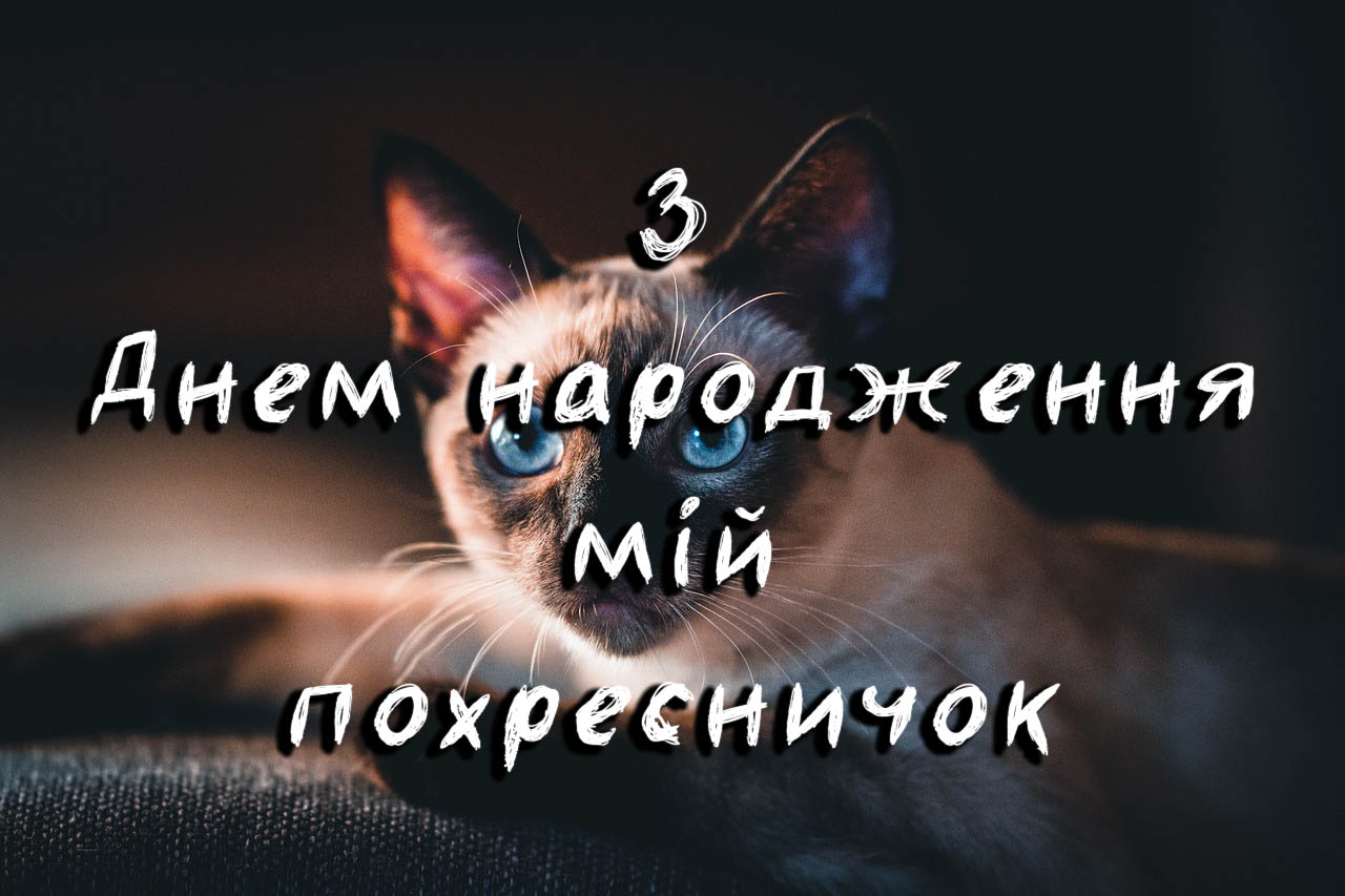 з днем народження похреснику - листівки 7