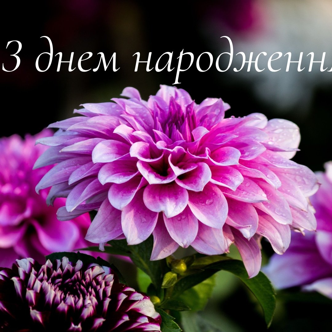 Красиві картинки з днем народження свасі для привітання