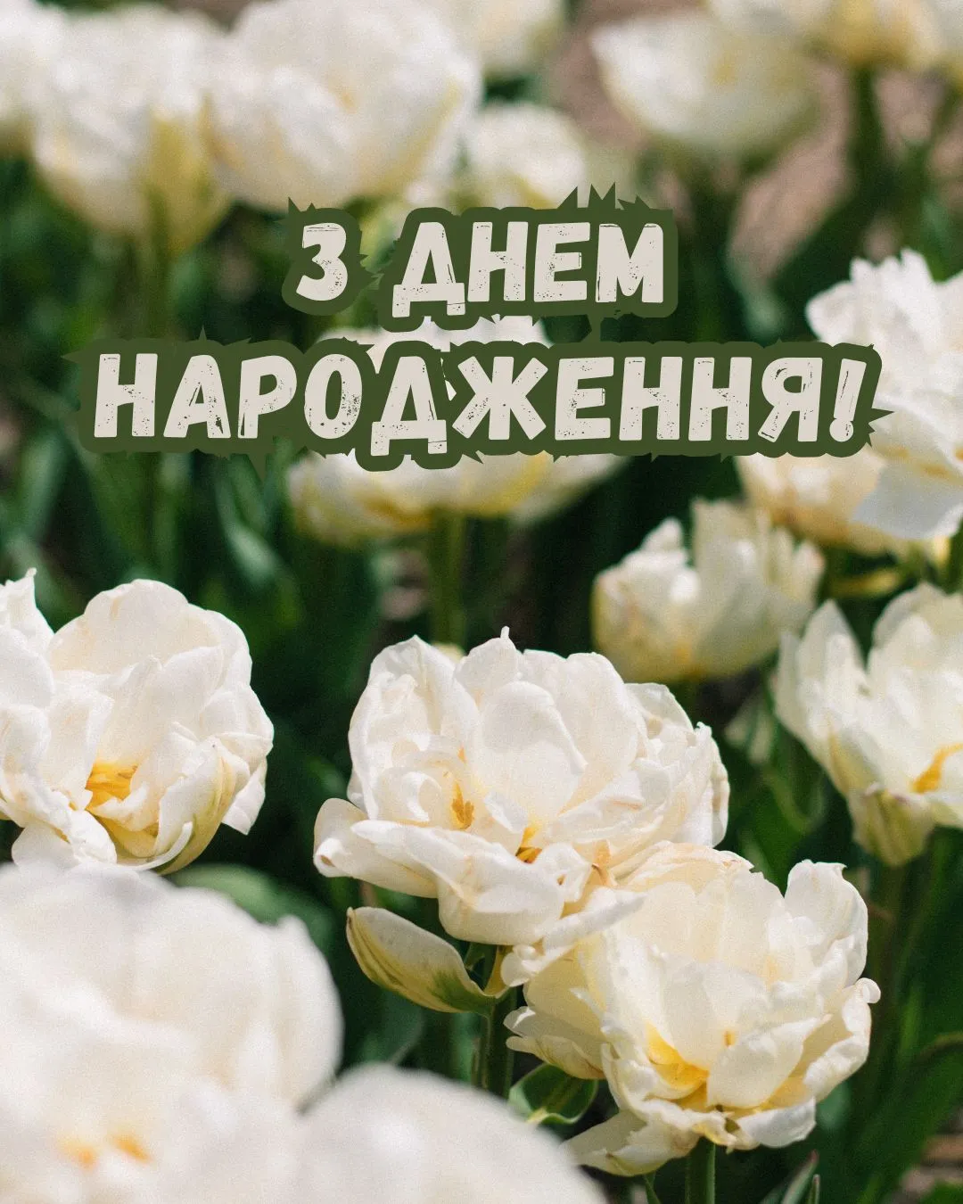 Найкращі вітальні картинки з днем народження для рідних та друзів