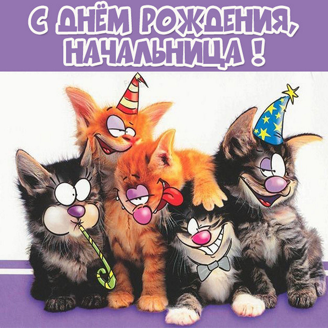 дуже смішні привітання на день народження жінці - листівки 8