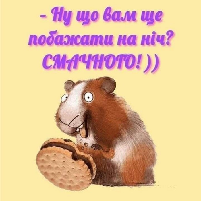 смішні побажання на добраніч - листівки 3
