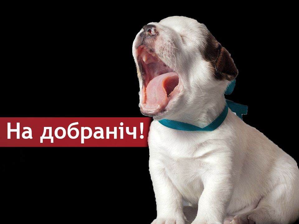 смішні побажання на добраніч - листівки 5