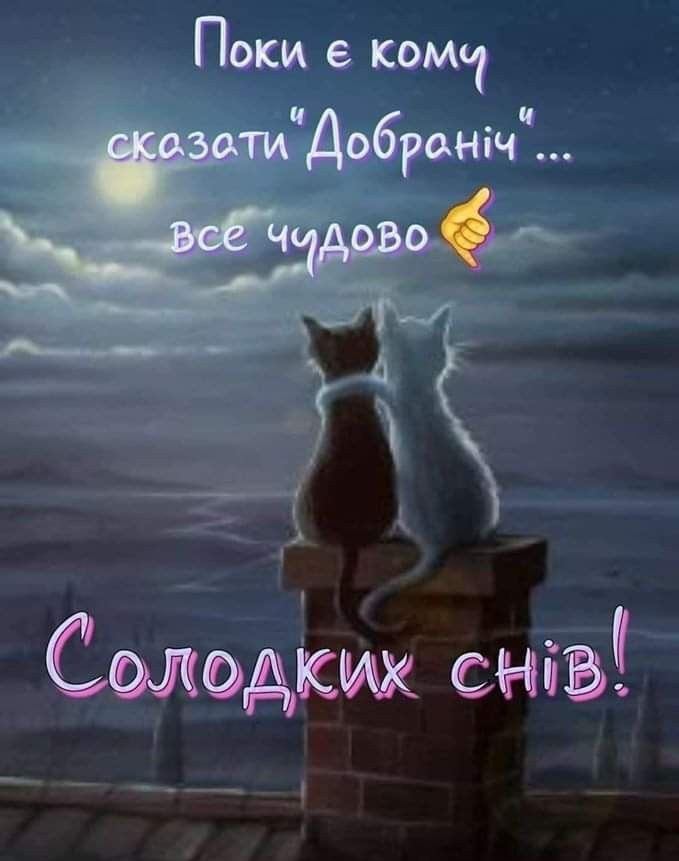 смішні побажання на добраніч - листівки 7